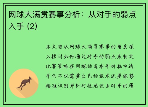 网球大满贯赛事分析：从对手的弱点入手 (2)